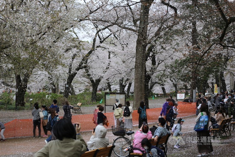 日本疫情回溫東京大阪新增病例超過第2波高峰 國際 中央社cna