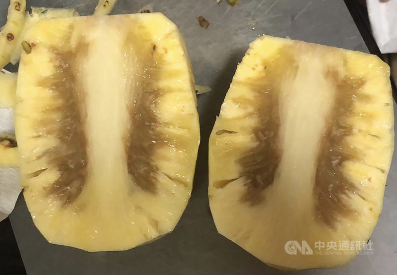 台灣鳳梨拓銷新加坡,但不少當地消費者買到內部出現褐色或黑色的鳳梨。圖為一名消費者近期在超市買到的台灣鳳梨。(讀者提供)中央社記者侯姿瑩新加坡傳真 110年4日2日
