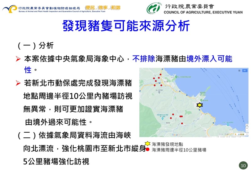 防檢局不排除海漂豬由境外飄入的可能性。(防檢局提供)
