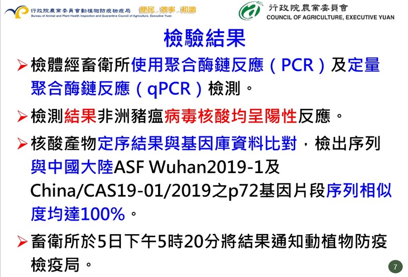 防檢局公布海漂死豬的檢驗結果。(防檢局提供)