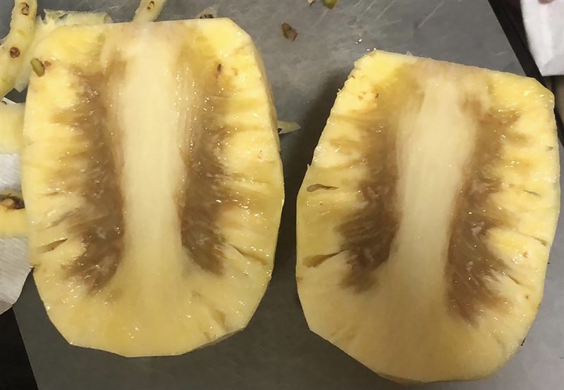 台灣鳳梨拓銷新加坡,當地消費者買到內部出現褐色或黑色的鳳梨。圖為一名消費者在新加坡超市買到的台灣鳳梨。(讀者提供)