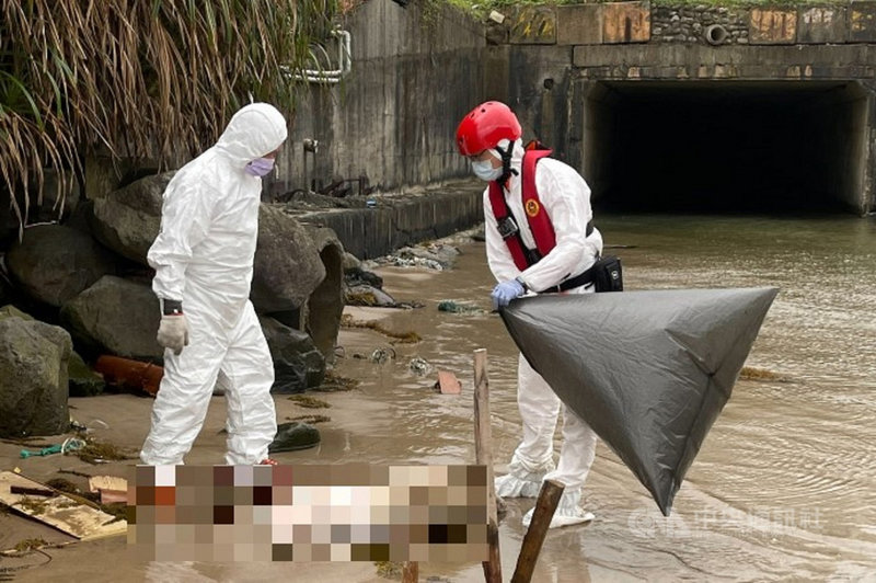 新北萬里沙灘發現海漂豬隻驗出非洲豬瘟病毒,動保處已立即啟動非洲豬瘟確診應變中心,加強防疫。(新北動保處提供)中央社記者王鴻國傳真 110年4月6日