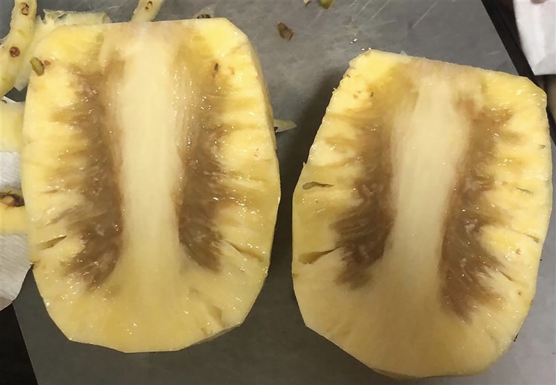 台灣鳳梨拓銷新加坡,但不少當地消費者買到內部出現褐色或黑色的鳳梨。圖為新加坡一名消費者近期在超市買到的台灣鳳梨。(讀者提供)