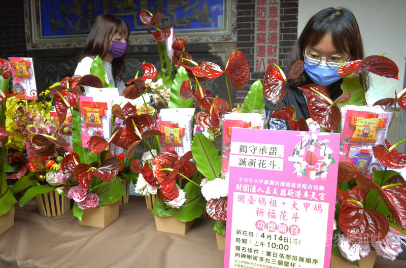 台灣火鶴花產業發展協會等組織在台中大甲媽遶境進香期間,與大甲媽駐駕7間廟宇及明道大學合作,推出「祈福花斗」,盼藉以增進花卉銷售量,降低疫情對花農生計衝擊。中央社記者蔡智明攝 110年4月9日