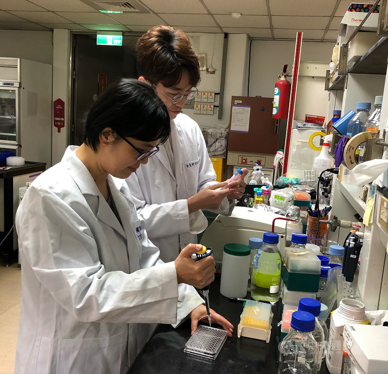 中央研究院發布新聞稿表示,生醫所及分生所研究團隊提出多重靶向策略,即使遇到新型冠狀病毒產生變異,仍有機會維持其治療效果。論文第一作者、林小喬團隊成員陳婷(左)與第二作者研究助理費正尹(右)以螢光儀器測試鋅離子剔除實驗。(中研院提供)中央社記者張雄風傳真 110年4月12日