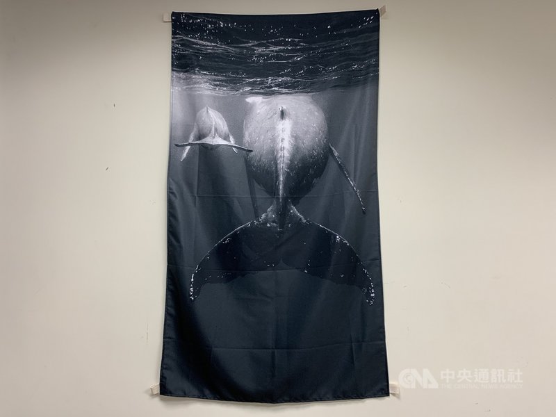 義助門諾醫院婦科儀器更新,曾獲國際攝影獎項的台灣女性水下攝影師陳玟樺集結得獎作品等在門諾醫院展出,並授權其中1幅大翅鯨母子的照片製作成掛飾,藉此感謝捐助人的支持。(門諾醫院提供)中央社記者李先鳳傳真 110年4月14日