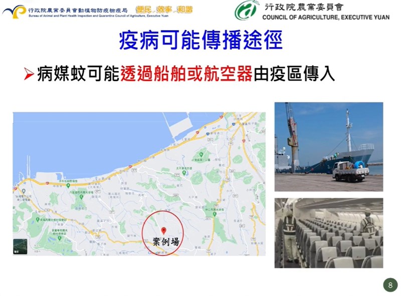 農委會公布,新北市林口區一肉牛場發現本島首例牛結節疹,病媒蚊可能透過船舶或航空器由疫區傳入。(圖取自facebook.com/baphiq.tw)