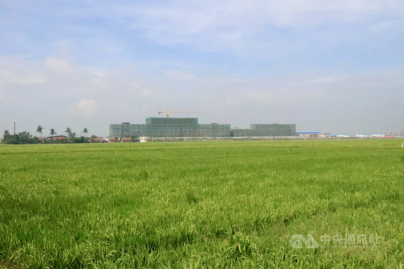 雅萬高鐵位於西爪哇省萬隆縣德加魯爾村的機廠附近都是稻田,除高鐵站,還將開發運輸導向發展計畫,超過2000戶將面臨迫遷。圖攝於3月24日。中央社記者石秀娟萬隆攝 110年4月15日