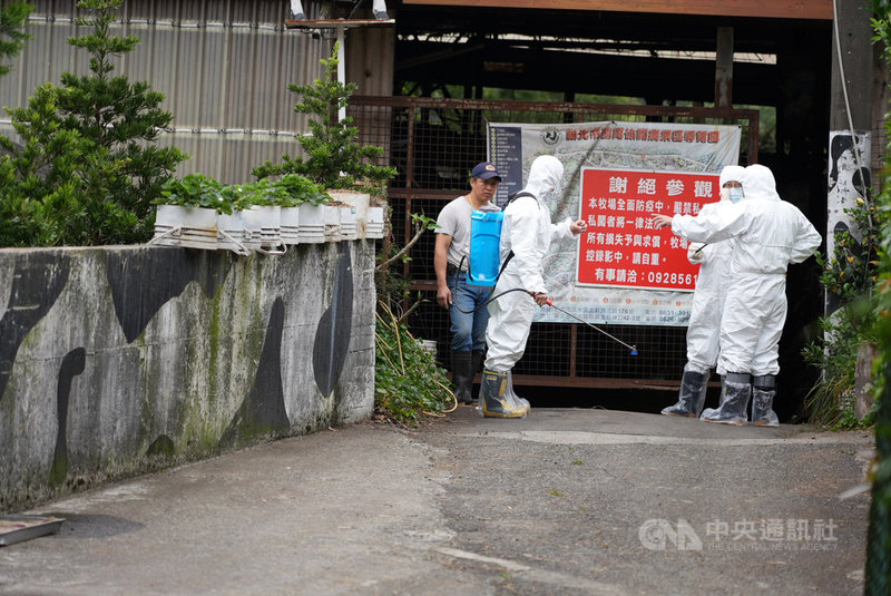 新北市林口區一處肉牛場發生台灣本島首例牛結節疹,市府動物保護防疫處已訪視新北市所有牧場,預計在16 日之內完疫苗施打,另也將進行全面環境消毒。中央社記者沈佩瑤攝 110年4月16日