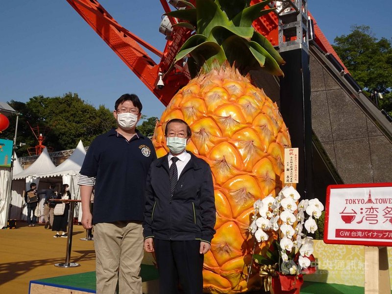 日本的台灣金鑽鳳梨熱潮未減,駐日代表謝長廷21日視察東京鐵塔台灣祭(美食活動)活動會場,得知主辦單位備妥8萬個台灣金鑽鳳梨銷售,感到很驚訝。圖為謝長廷在鳳梨裝置藝術前合影。中央社記者楊明珠東京攝 110年4月21日
