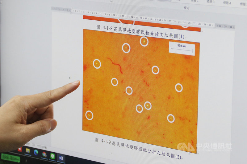 4月22日是世界地球日,弘光科技大學環境與安全衛生工程系針對中部沿海調查,了解附近海域是否受塑膠微粒污染,發現高美濕地所觀察到的塑膠微粒數量最多。中央社記者趙麗妍攝 110年4月22日