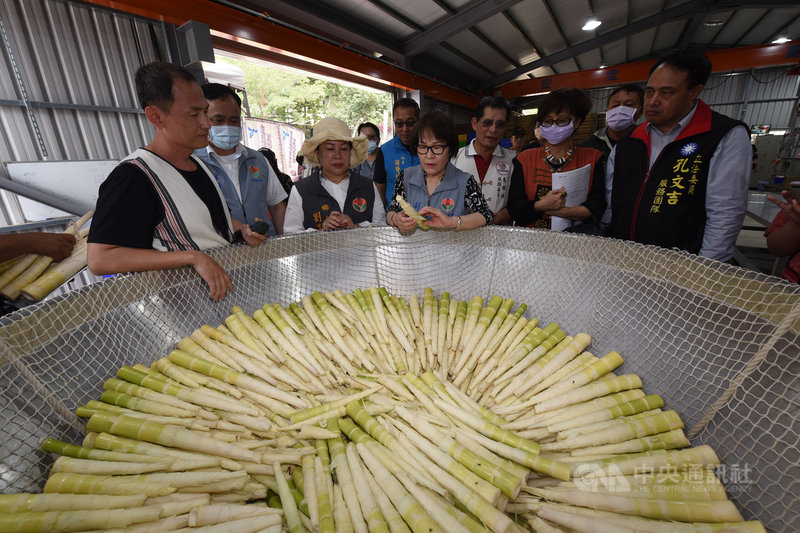 苗栗縣政府爭取原民會補助,在泰安鄉梅園部落興建原住民桂竹筍加工站,22日揭牌啟用。不過因遭逢嚴重乾旱,農民盼不到「雨後春筍」,加工站試營運2週卻收不到1000斤,縣府原住民族事務中心估計,整體收成恐怕不及往年1成。(苗栗縣政府提供)中央社記者管瑞平傳真 110年4月22日