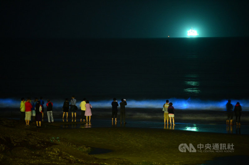 金門地區藍眼淚今年大爆發,自3月起成功、尚義等海邊深夜總是聚滿人潮,等待與藍眼淚邂逅。(許小西提供)中央社記者黃慧敏傳真 110年4月23日