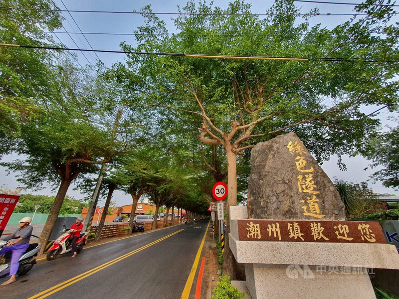 屏東泗林綠色隧道成為潮州鎮知名景點，除了一整天都有民眾健走運動外，也吸引許多遊客前往打卡。中央社記者郭芷瑄攝　110年4月24日