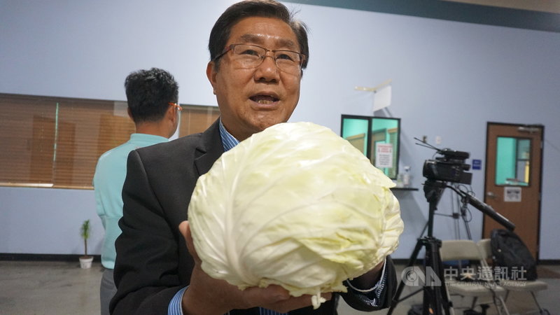 客委會海外諮詢委員邱啟宜(圖)4月30日出席台灣高麗菜上市記者會,他說美國雖然也有本地種植的高麗菜,但自台灣進口的口感更好,吃起來更鮮甜清脆。中央社記者林宏翰洛杉磯攝 110年5月1日