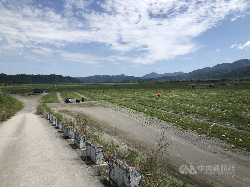 花蓮縣玉里鎮秀姑巒溪沿岸栽種的西瓜碩大甜美,秀姑巒溪沿岸約160甲的瓜田已是瓜實纍纍,一片豐收景象。玉里警分局5月起執行「護瓜專案」,針對西瓜易遭竊的時段,統合各項警力,保護農民血汗財產。(花蓮縣警察局提供)中央社記者李先鳳傳真 110年5月5日
