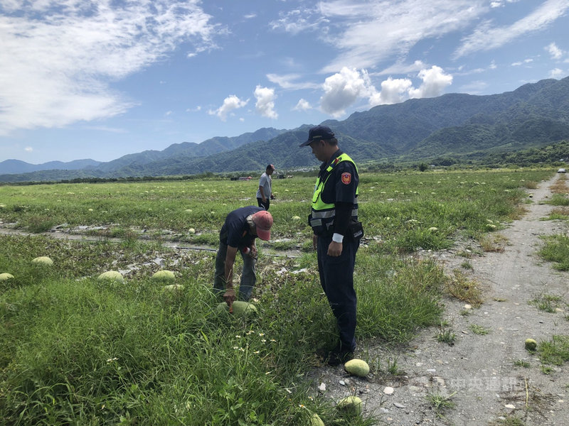 花蓮縣玉里鎮秀姑巒溪沿岸栽種的西瓜將進入採收期,花蓮縣警察局玉里分局5月起啟動「護瓜專案」,針對易遭竊的時段執行巡守勤務。(花蓮縣警察局提供)中央社記者李先鳳傳真 110年5月5日
