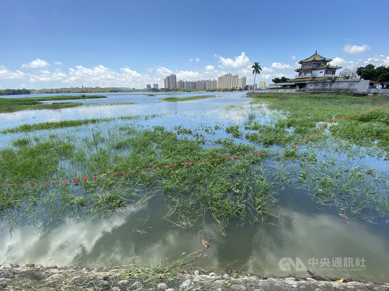 高雄市政府攜手水利署南水局積極為水庫「開源」,增調水源挹注澄清湖水庫,據5日南水局水情資訊顯示,澄清湖水庫蓄水率下午達94%,湖光美景重現,也解除高雄5月水情轉紅燈危機。中央社記者董俊志攝 110年5月5日