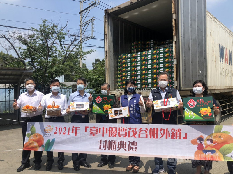 台中市農業局、東勢區農會及台灣省青果運銷合作社台中分社6日舉辦「台中優質茂谷柑外銷」封櫃典禮,陸續將500多公噸的茂谷柑封櫃啟航外銷。中央社記者趙麗妍攝 110年5月6日