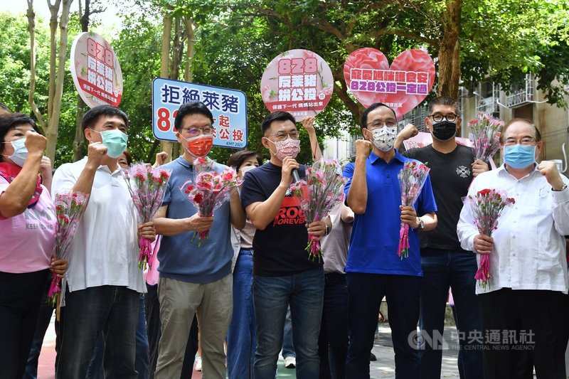 國民黨8日在台北舉辦「寵愛媽咪、響應828公投」活動,國民黨主席江啟臣(前左4)、前新北市長朱立倫(前右3)、中廣董事長趙少康(前左3)、國民黨智庫副董事長連勝文(前右2)、前國民黨副主席郝龍斌(前左2)等人出席。中央社記者王飛華攝 110年5月8日