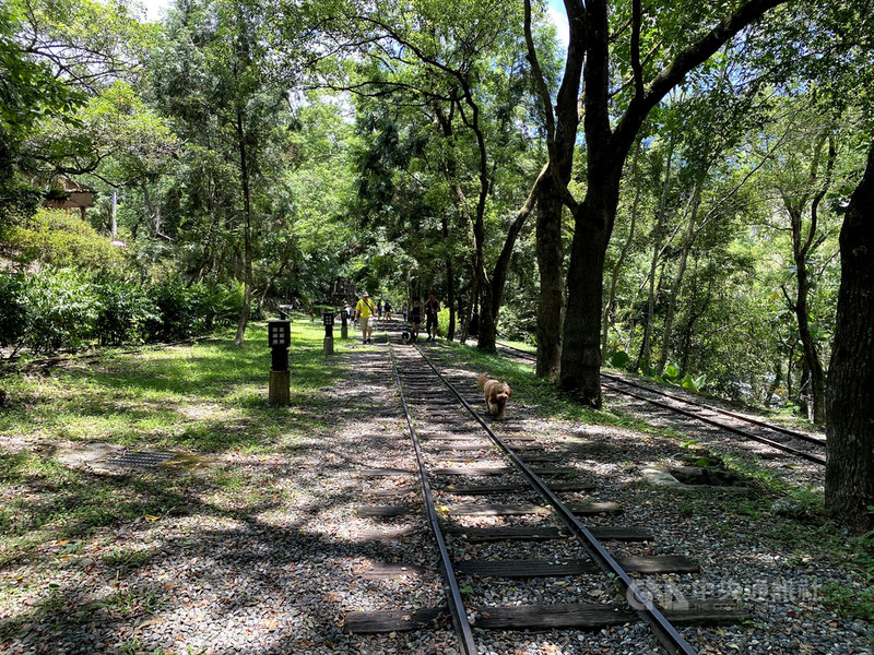 花蓮縣政府拚城市意象及觀光,推出香味旅遊,和P.Seven台灣茶香水合作研發專屬香水「KIZA奇萊之美」,與主題遊程「奇萊之美一日遊」相呼應,包括「縱谷線」走訪林田山林業文化園區等地,循著香氣享受食宿的旅遊體驗。中央社記者李先鳳攝 110年5月10日
