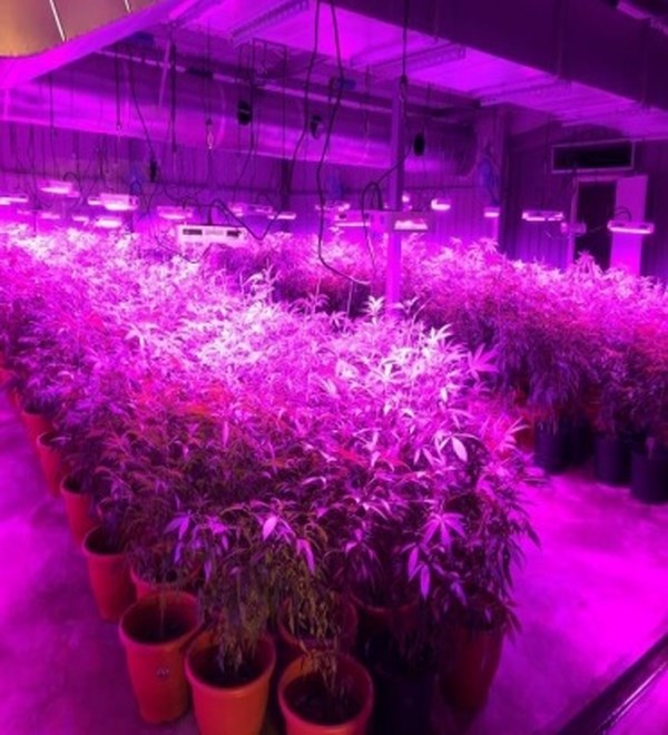 新竹市警察局第三分局分局長曾有慶,這間大麻工廠所有設備都非常專業,警方在現場查扣植物生長燈66組。(圖取自新竹地檢署網頁scc.moj.gov.tw)