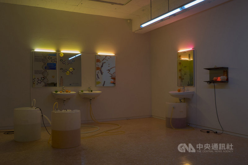 第11屆利物浦雙年展實體展覽將於19日開放參觀。台灣藝術家羅智信今年應邀參展。圖為他2019年作品「不存在的蝸牛」。(駐英文化組提供)中央社記者戴雅真倫敦傳真 110年5月14日