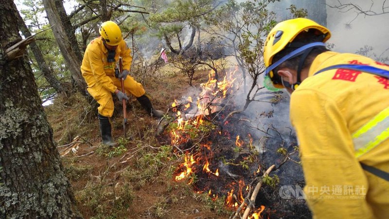 嘉義林管處轄管玉山事業區第52林班16日清晨發生森林火災,因地處偏遠,搶救人力搭乘直升機17日上午抵達火場,開設防火線滅火。(嘉義林管處提供)中央社記者蔡智明傳真 110年5月17日