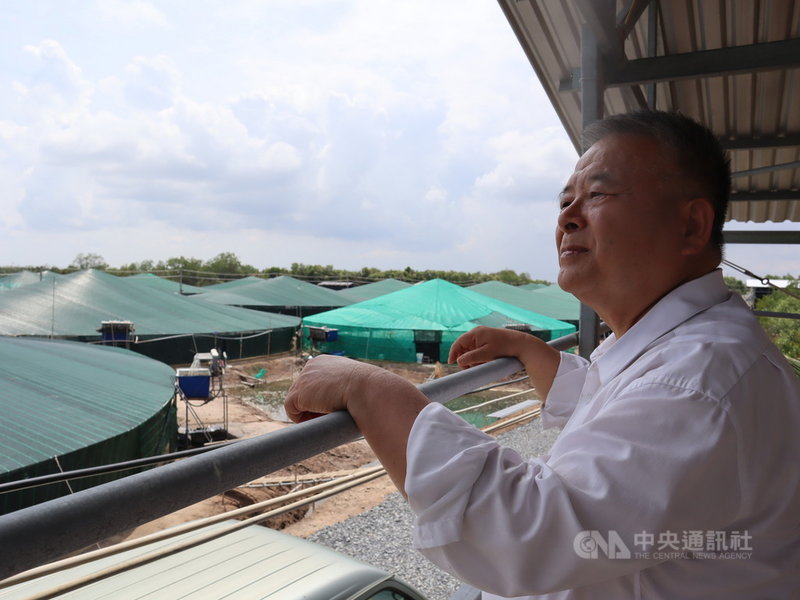 越南台商陳信銘50公頃的蝦池年產量達1800噸。他因穩定供貨能力,被海底撈、摩斯漢堡等跨國連鎖企業相中。圖為陳信銘望著自己打造、擁有圓形尖頂、耐強風吹襲的蝦池「蒙古包」。中央社記者陳家倫檳椥省攝 110年5月25日