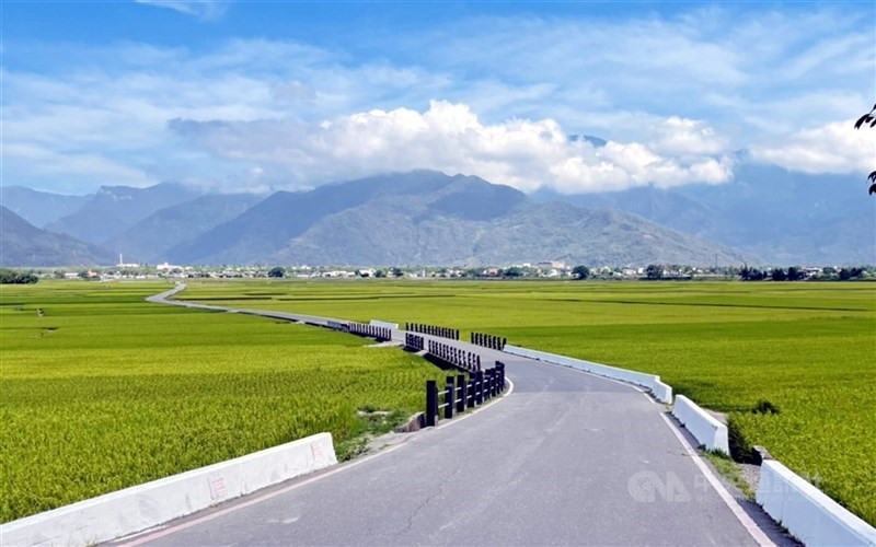 全台三級警戒延長至6月14日,旅遊業者易遊網、KKday宣布可全額退款。圖為台東知名景點池上鄉金城武樹、天堂路22日受疫情影響無遊客人潮。(中央社檔案照片)