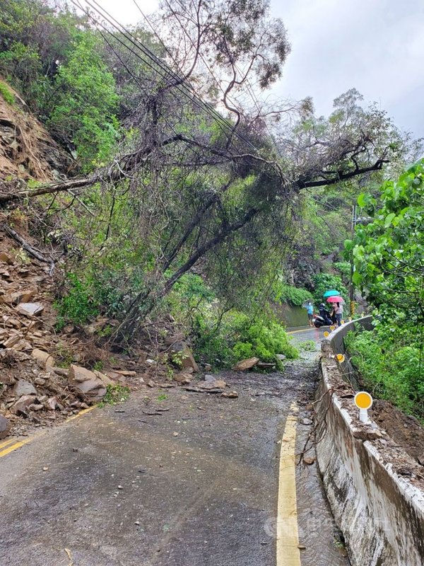 滯留鋒面帶來強降雨,高雄山區道路有零星落石,還有道路邊坡崩塌,樹木壓到電線,造成茂林區供電一度受阻。(高市府原住民事務委員會提供)中央社記者王淑芬傳真 110年6月6日