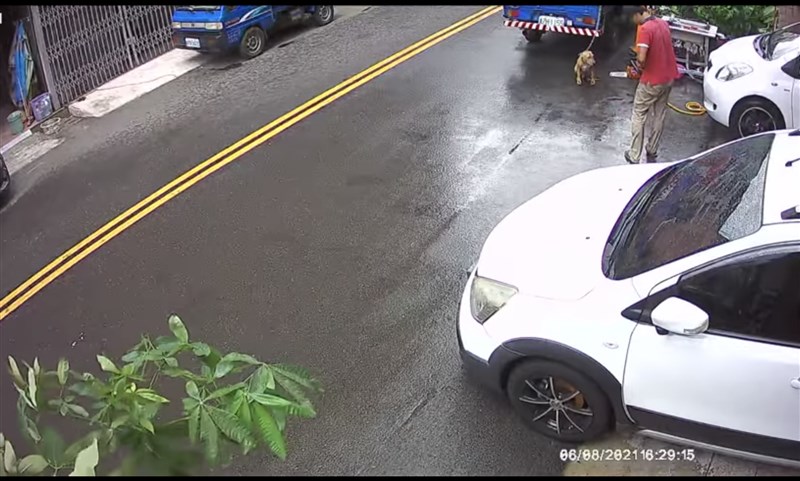 嘉義市自強街日前發生男子持電鋸向胞兄飼養的小黃狗揮舞,再以拖鞋打狗的頭。嘉義市政府11日依飼主未盡照顧責任,依違反動保法,處新台幣5萬元罰鍰。(圖取自嘉義綠豆大小事網頁facebook.com)