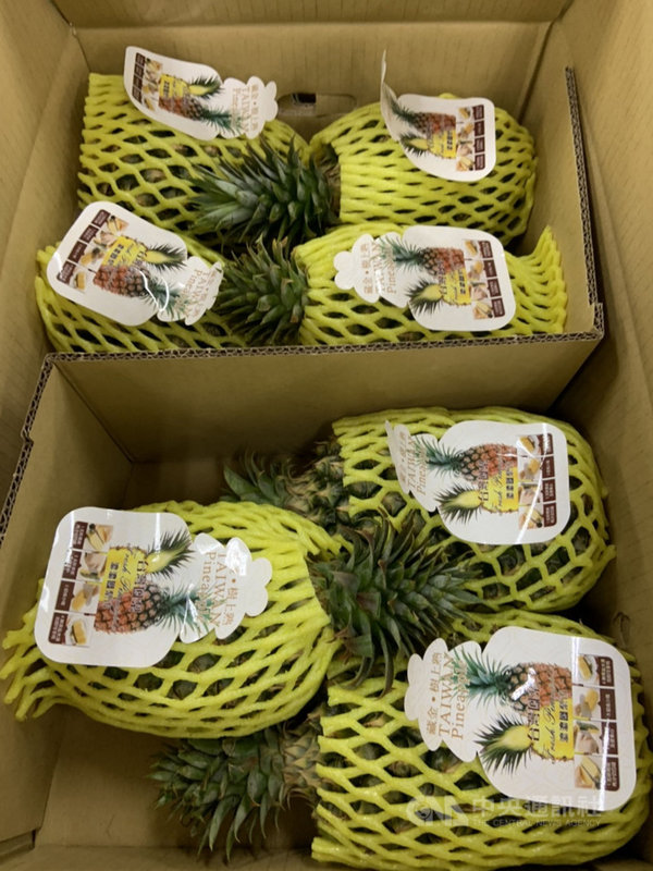 逾10公噸台南鳳梨銷日將在群馬埼玉展售 地方 中央社cna