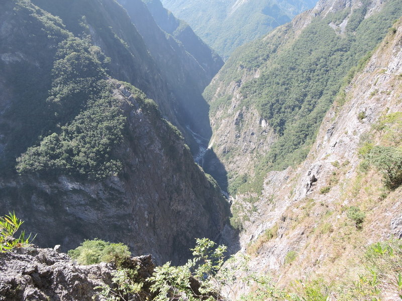 太魯閣的峽谷與高山地形,對許多植物的生長及傳播是跨越不過的鴻溝,形成天然的阻隔,因此許多植物便在小區域的範圍中長期演化,逐漸演化出太魯閣的特有植物。中央社記者李先鳳攝 110年6月14日
