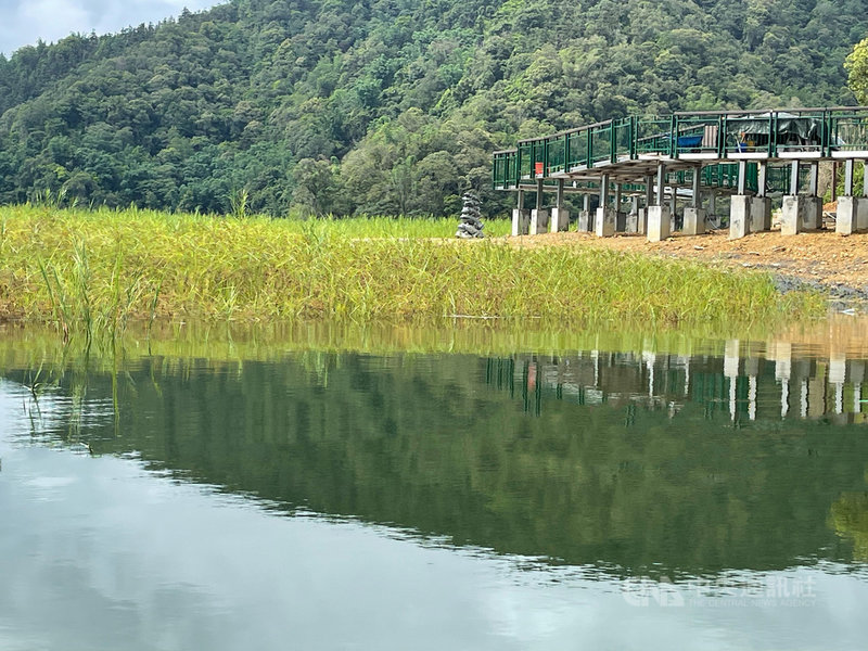 隨著降雨與集水區挹注,日月潭水位持續穩定升高,從湖面遠眺,只見九蛙被長滿雜草的淤積土堆包圍,不過根據數據,17日水位已可讓最底下的第九蛙喝到水。(日月潭一等高提供)中央社記者蕭博陽南投傳真 110年6月17日