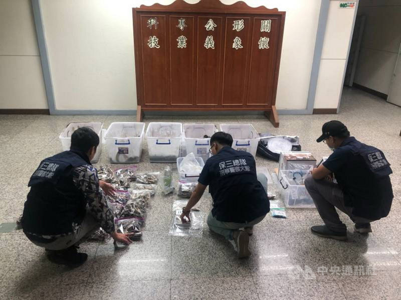 高雄市陳姓男子在網路上學習種植二級毒品迷幻蘑菇的方法,從國外進口栽種用品,種植成功後再烘乾販售,警方循線將他逮捕並查扣大量迷幻蘑菇及培養烘乾製造設備。(警方提供)中央社記者蘇木春傳真 110年6月18日