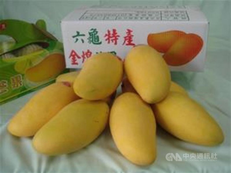 表皮金黃、果實碩大的金煌芒果,果肉飽滿多汁、口感細緻滑順,是高雄在地優質特色水果。六龜區農會特別推出「防疫時果箱」,提供疫情期間,民眾滿滿的防疫能量。(高雄市政府提供)中央社記者洪學廣傳真 110年6月19日