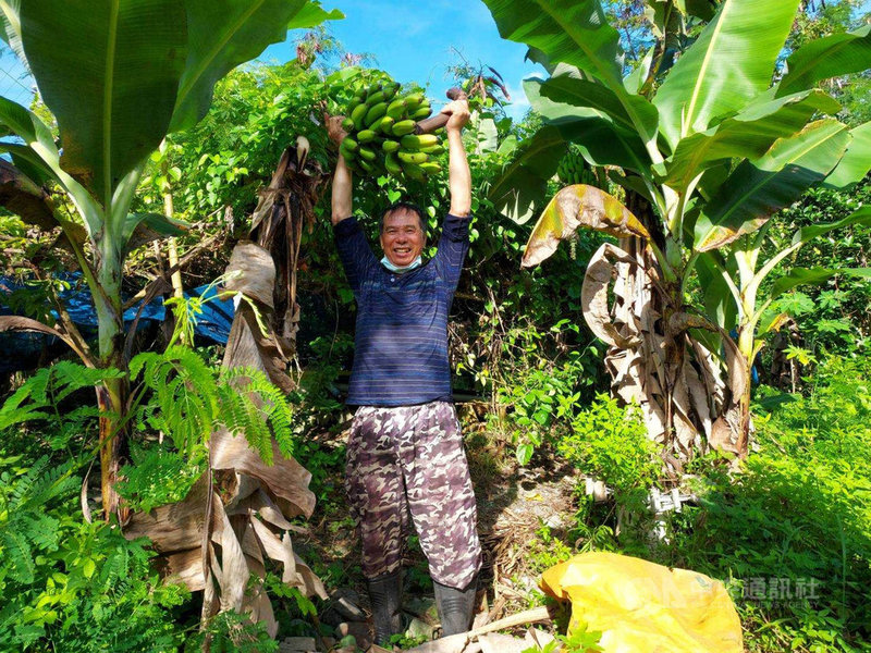 花蓮市公所建置數位平台,將產自花蓮原住民部落的生鮮野菜裝箱,供民眾線上訂購,品嚐來自部落的好味道。(花蓮市公所提供)中央社記者李先鳳傳真 110年6月20日