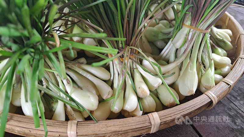 花蓮農改場研究發現,原住民食用的野菜不但蘊藏豐富的營養元素,更能夠抵禦自然氣候。花蓮市原住民農產線上訂購平台20日也正式上線,民眾可訂購生鮮野菜箱,品嚐來自部落的好味道。(花蓮市公所提供)中央社記者李先鳳傳真 110年6月20日