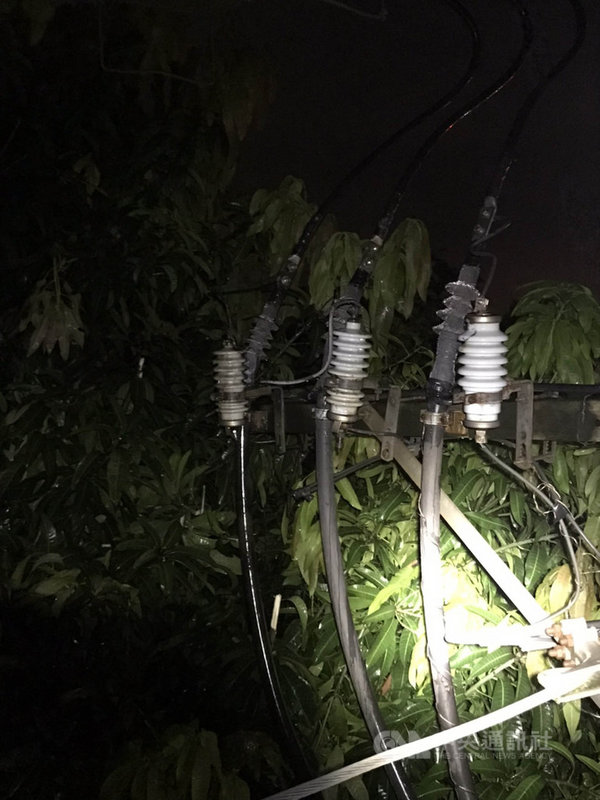 高雄市19日深夜11時許包括大寮、大樹區共3859戶停電,台電搶修於20日凌晨近1時許復電,經查是芒果樹傾倒碰觸高壓導線致饋線保護開關跳脫。(台電提供)中央社記者王淑芬傳真 110年6月20日