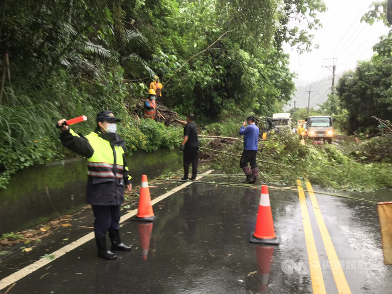 台中東勢警分局22日獲報,指東關路四段路段下午2時31分左右,道路兩側路樹疑因大雨影響而倒塌,警方前往查看發現路樹倒地及電線掉落,影響交通,至下午4時10分才清理完現場、恢復通行。(民眾提供)中央社記者趙麗妍傳真 110年6月22日