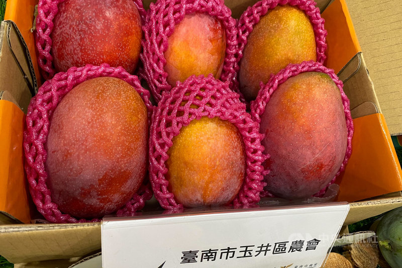 台南山區栽種的芒果進入採收期,主要產地農會都推出促銷產品。圖為玉井區農會盒裝產品。(台南市農業局提供)中央社記者楊思瑞台南傳真 110年6月22日