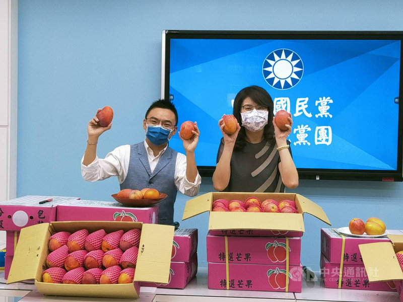 國民黨立院黨團訂購100箱枋山芒果,黨團書記長鄭麗文(右)、立委洪孟楷(左)盼民眾一起以行動力挺枋山。(國民黨立法院黨團提供)中央社記者王承中傳真 110年6月29日