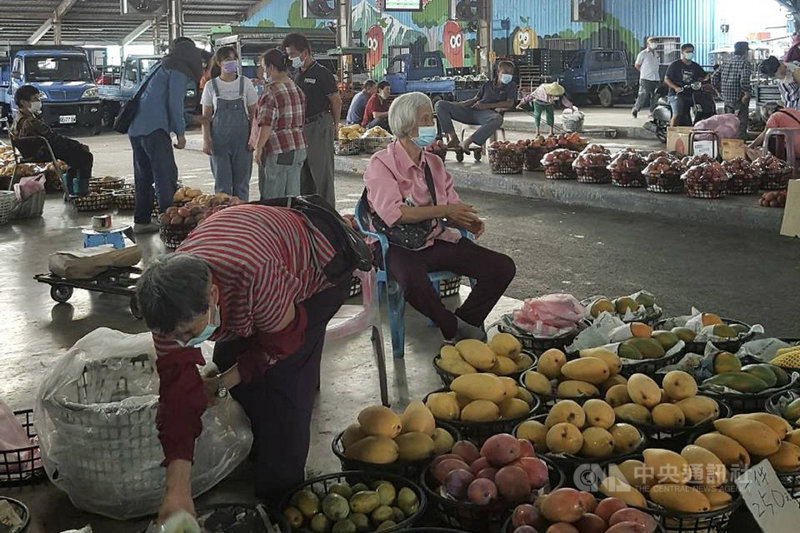 台南芒果今年產量增加,加上武漢肺炎疫情使前往產地採買遊客減少,市府加強媒合加工業者到青果市場收購。(台南市農業局提供)中央社記者楊思瑞台南傳真 110年6月30日