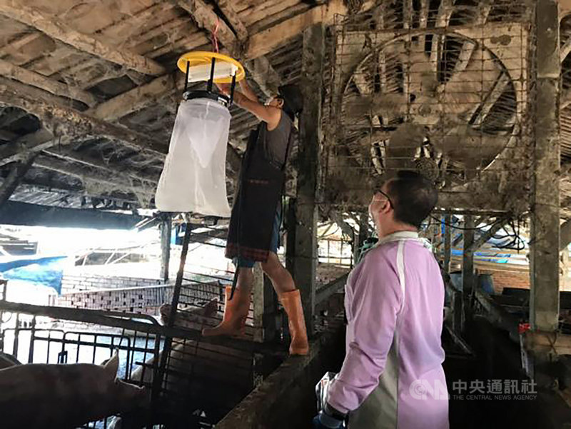 台南市出現今年第2例日本腦炎確定病例,全案為全國第13例,衛生局調查研判個案於居住地點附近感染可能性較高。圖為工作人員在豬舍內加裝防蚊裝置。(台南市政府提供)中央社記者楊思瑞台南傳真 110年7月14日