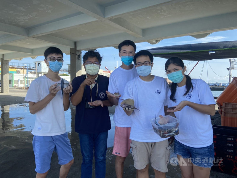 長期致力於澎湖食魚教育推廣的「年年有鰆」團隊與屏東海生館研究員合作,日前在採集魚類樣本時,發現澎湖新紀錄魚種「橘斑無鰭蛇鰻」,這也是全台灣第3次發現「橘斑無鰭蛇鰻」。(澎湖年年有鰆團隊提供)中央社 110年7月18日