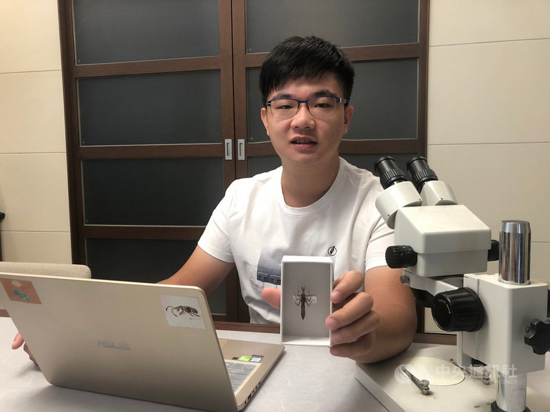 中興大學昆蟲學系學生胡芳碩(圖)分享意外發現微刺晏蜓水蠆的經過,他說,當時正在山坡的小流水旁翻石頭、尋找隱翅蟲,未料翻到了水蠆,大多數的水蠆只能生活在水中,水蠆能夠在陸地上長時間活動相當罕見。(中興大學提供)中央社記者趙麗妍傳真 110年7月20日