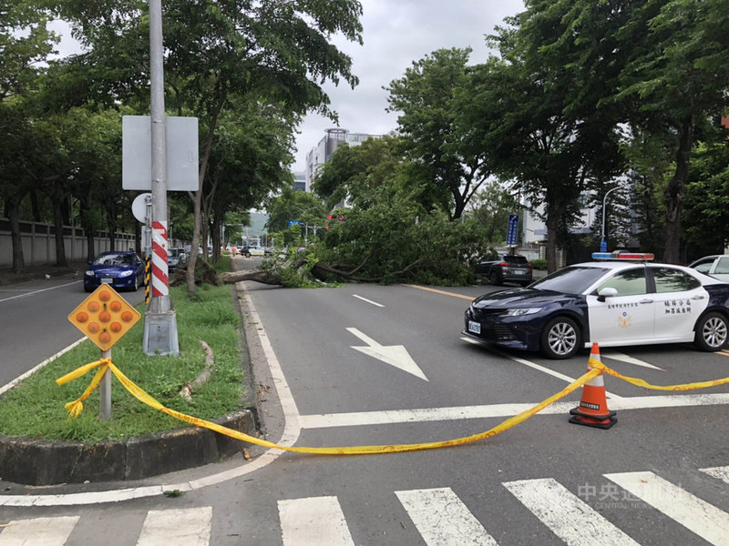 高雄楠梓科技產業園區旁22日上午突然颳起一陣強風,吹倒一棵路樹,警方立即拉起封鎖線疏導交通,幸無人受傷。(高雄市警察局楠梓分局提供)中央社記者蔡孟妤傳真 110年7月22日