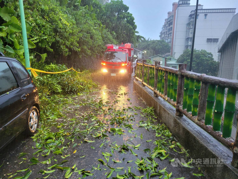 颱風烟花帶來雨勢北市士林 北投樹倒停電 社會 中央社cna