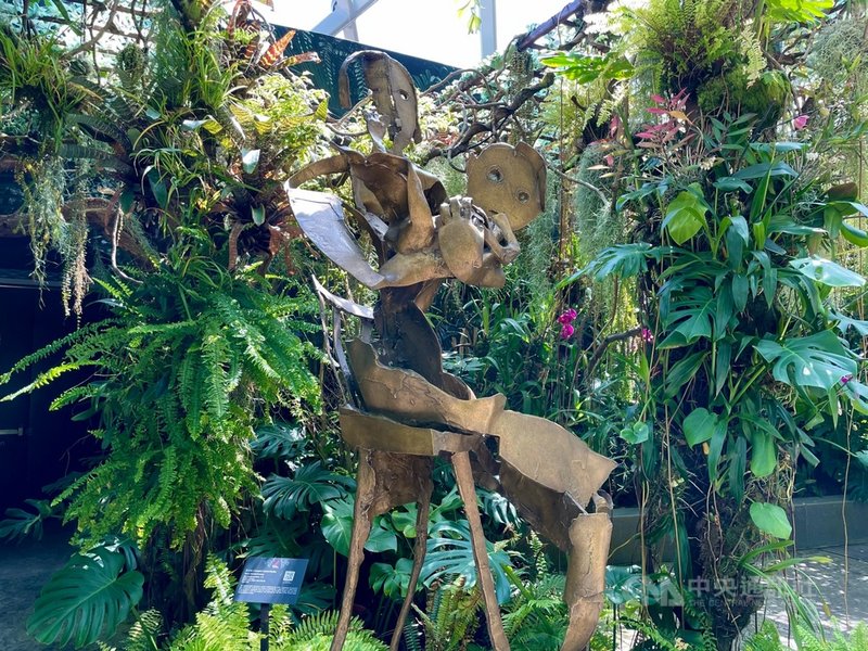 新加坡濱海灣花園雲霧林展出16件台灣雕塑家李光裕的作品,包括「心子」(圖)等銅雕。個展深受歡迎,連總理李顯龍也PO文分享。攝於7月22日。中央社記者侯姿瑩新加坡攝 110年7月26日